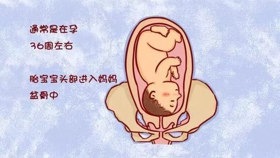 怎么判断胎头完全入盆,自己在家如何判断胎头是否入盆