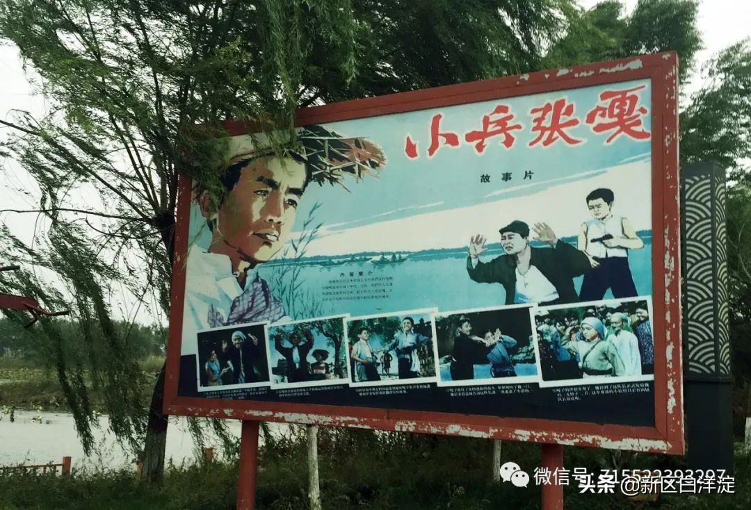 白洋淀红色记忆旅行社,白洋淀著名的红色事迹