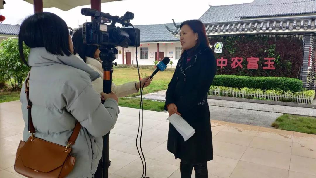 中农富玉大事记,中农富玉未来发展趋势