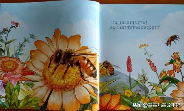 花儿的媒人绘本故事,儿童绘本故事春天的故事
