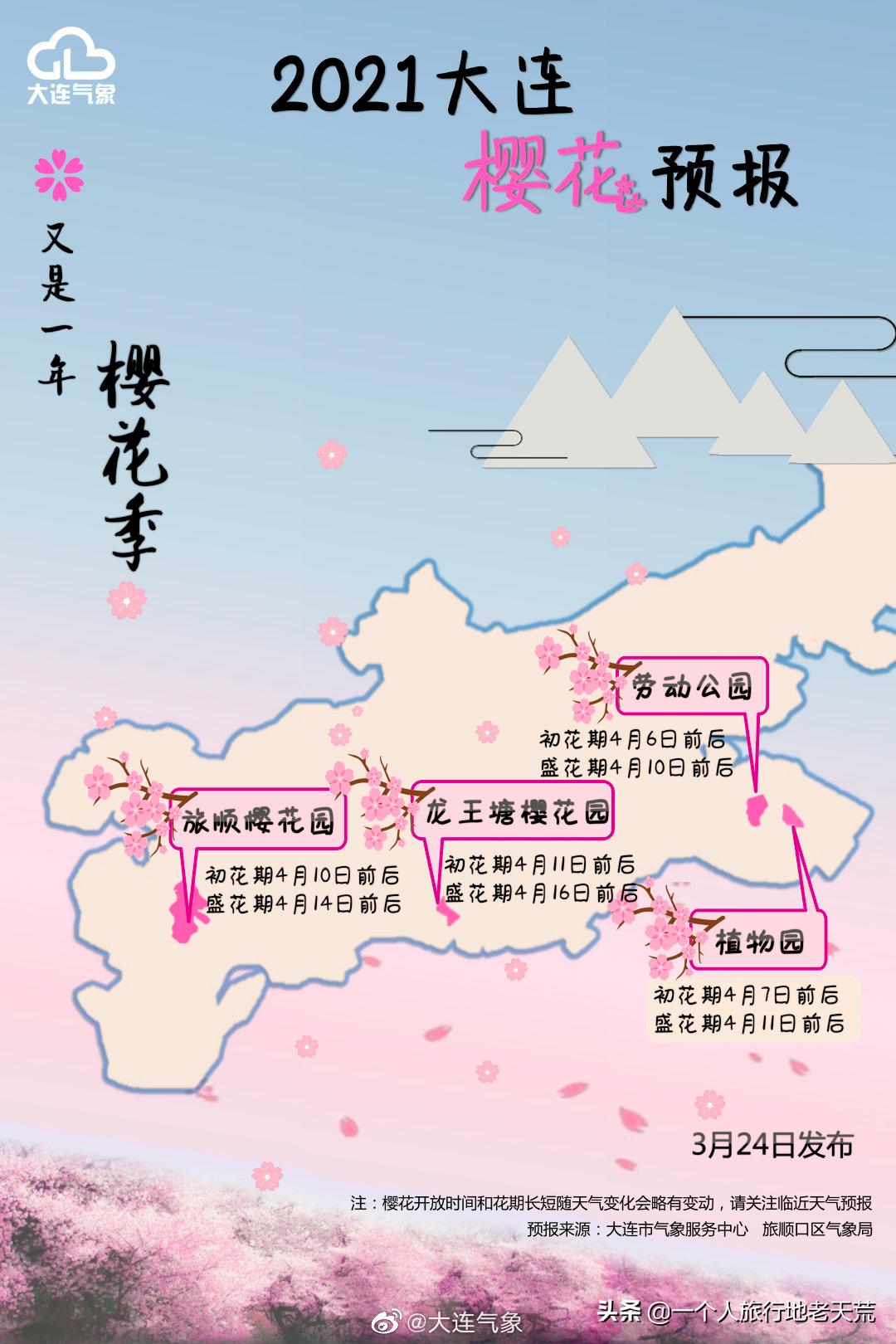 北方这座海滨老城，樱花不输日本，浪漫更胜巴黎