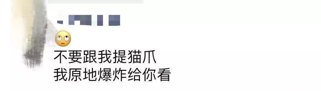 星巴克猫爪杯营销案例分析,星巴克的猫爪杯为什么火