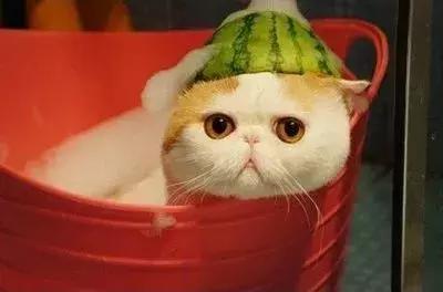 14件好东西，装修时装了保证不后悔！​