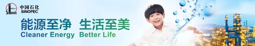 好厉害的车牌！加油刷“脸”，电子票直接到手机