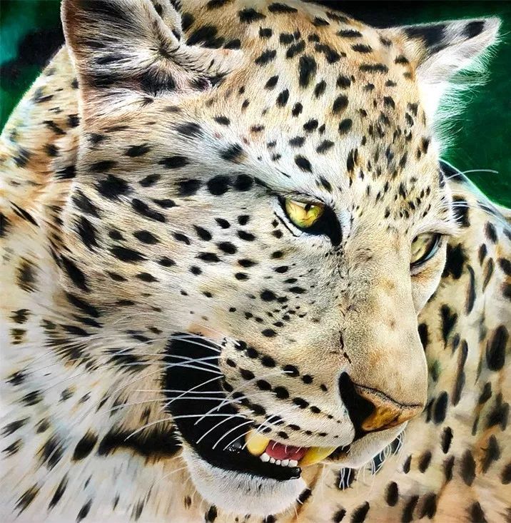 失明女孩铅笔画,保护视力守护心灵素描画