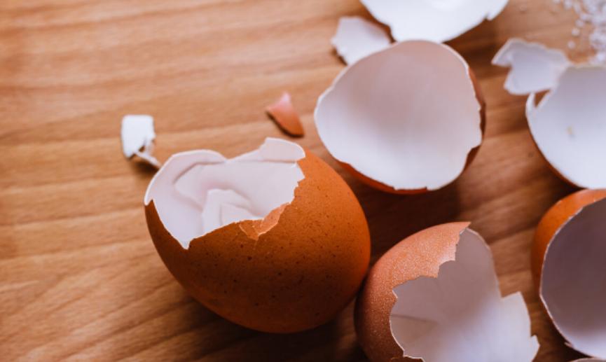 塑料桶养花的正确方法,塑料瓶子养花注意事项