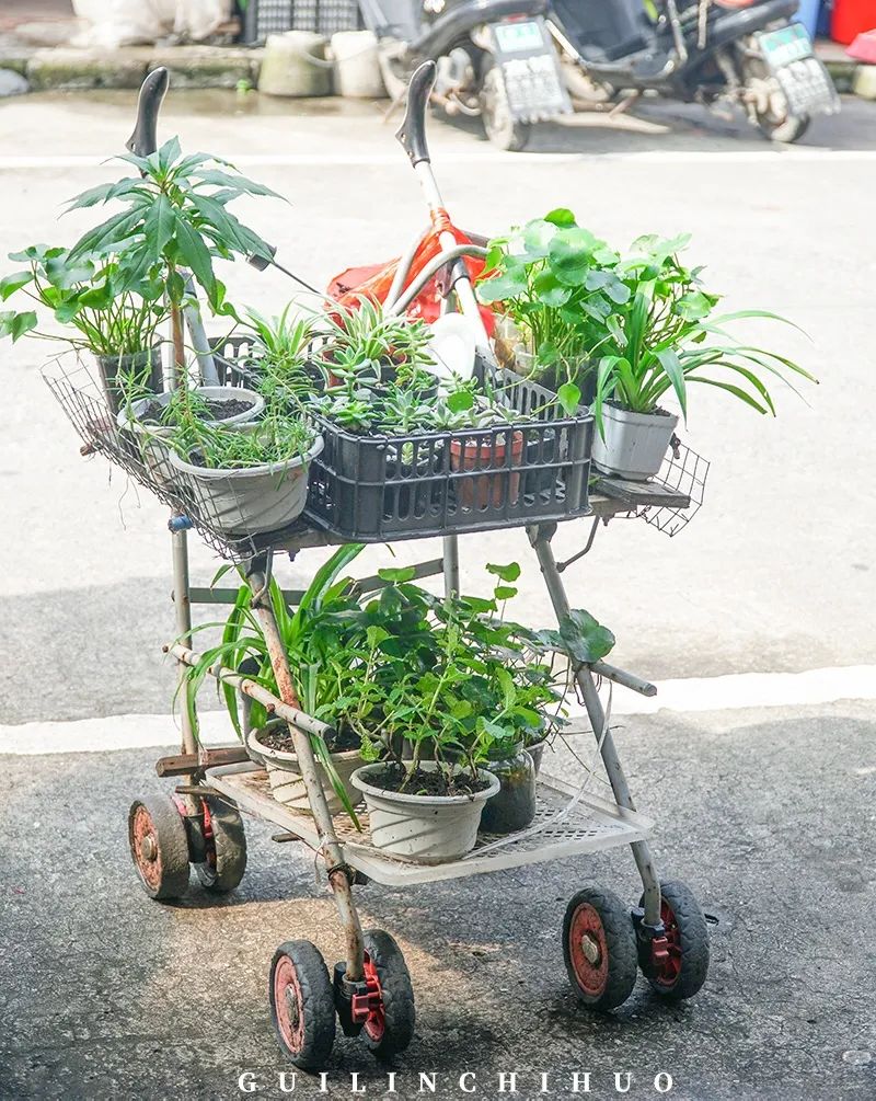 灵川县商贸城,灵川最好的商贸城