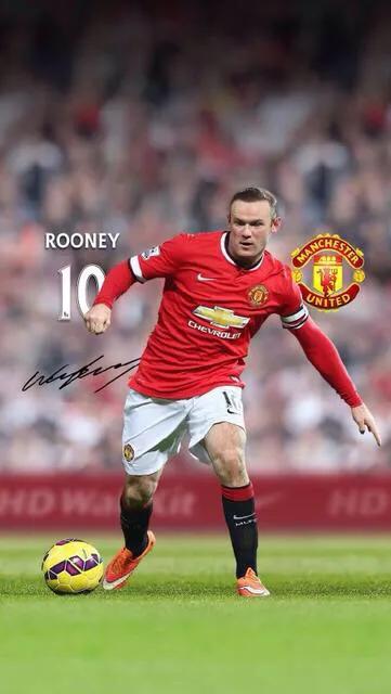 鲁尼经历了什么,鲁尼双翼齐飞