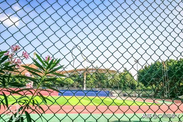 遇到老实人就嫁了吧,遇到贵州人你就嫁了吧