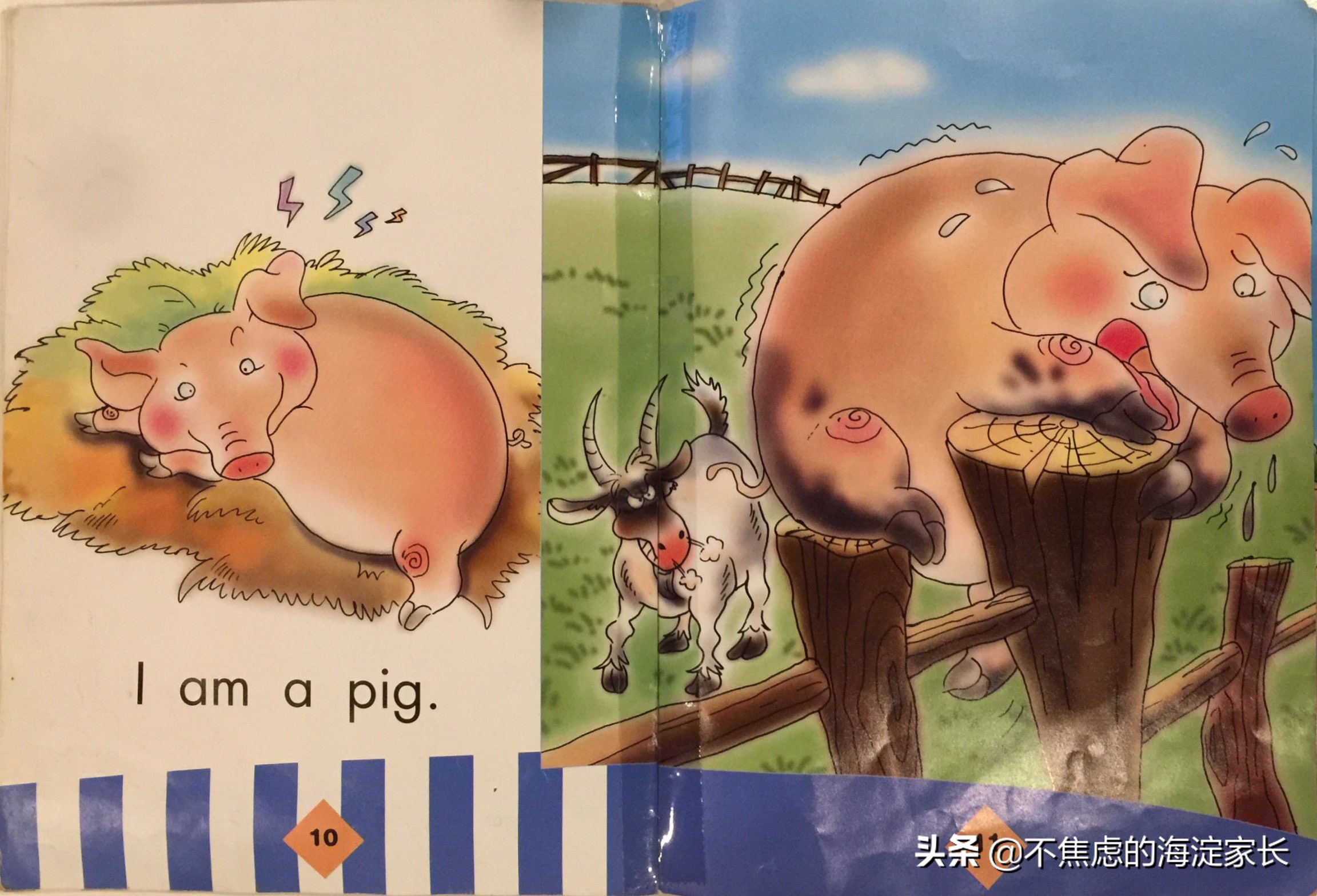 新西兰小学二年级课后读物,新西兰小学阅读书籍