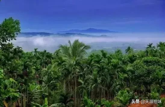 海南19个市县226个旅游景点,海南100个旅游景点