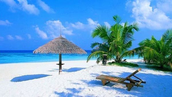 三亚美食攻略必吃排行榜,三亚南海文化旅游区美食攻略