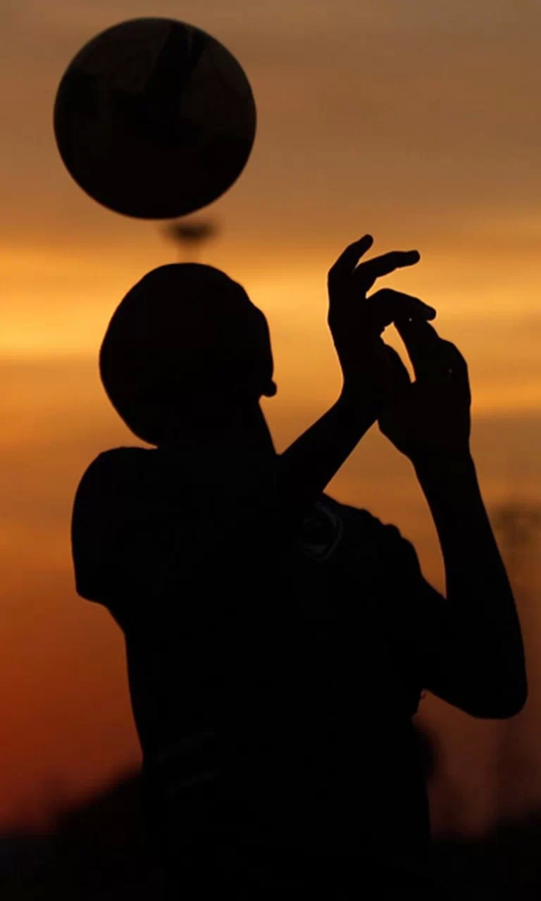 足球狗,足球狗之歌完整版