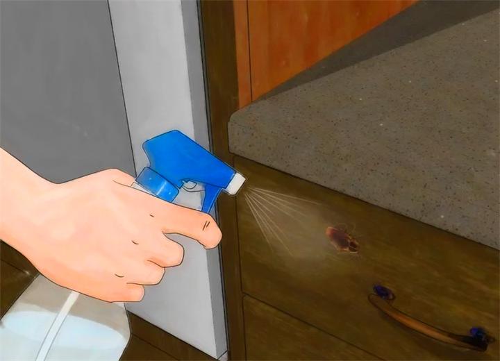 家里蟑螂太多处理方法不用小苏打,家里蟑螂太多怎么能彻底清除蟑螂