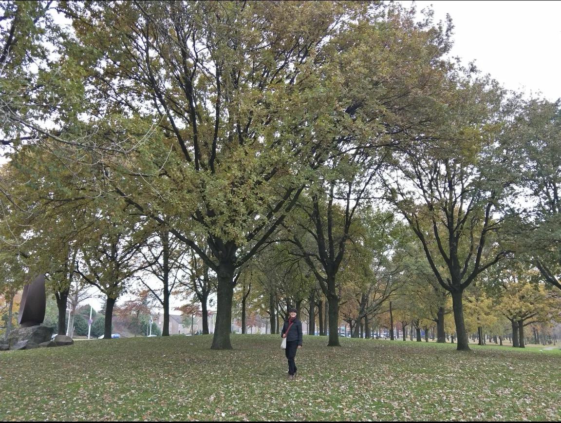 第一天去荷兰旅行,到荷兰的第一天