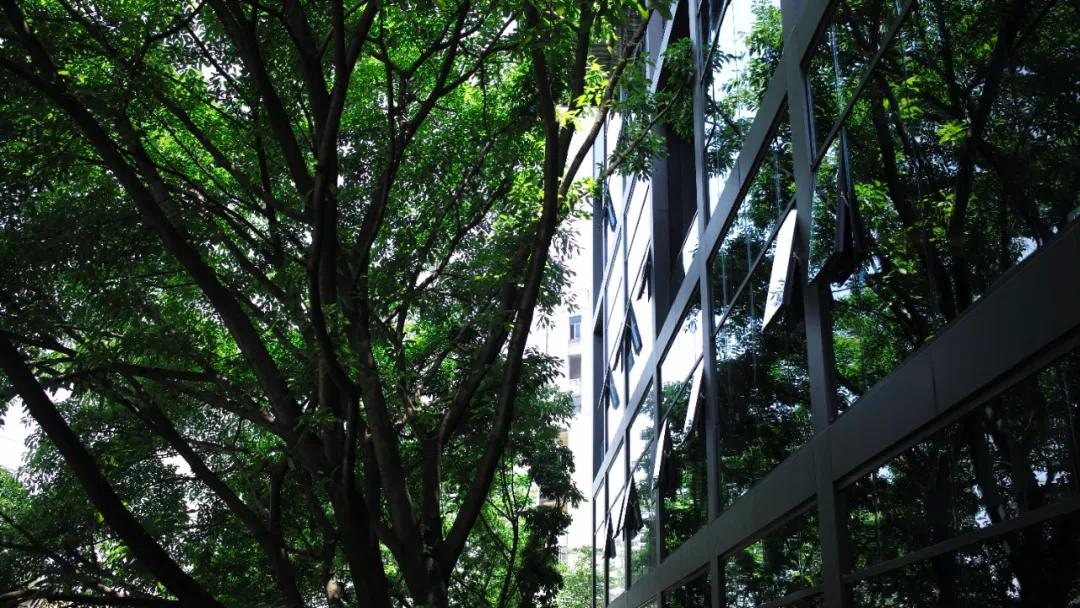 杭州隐居鹅岭投资管理,鹅岭隐居