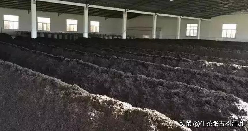 普洱茶里老茶头和碎银子哪个好喝,普洱茶7542和7572哪个好喝