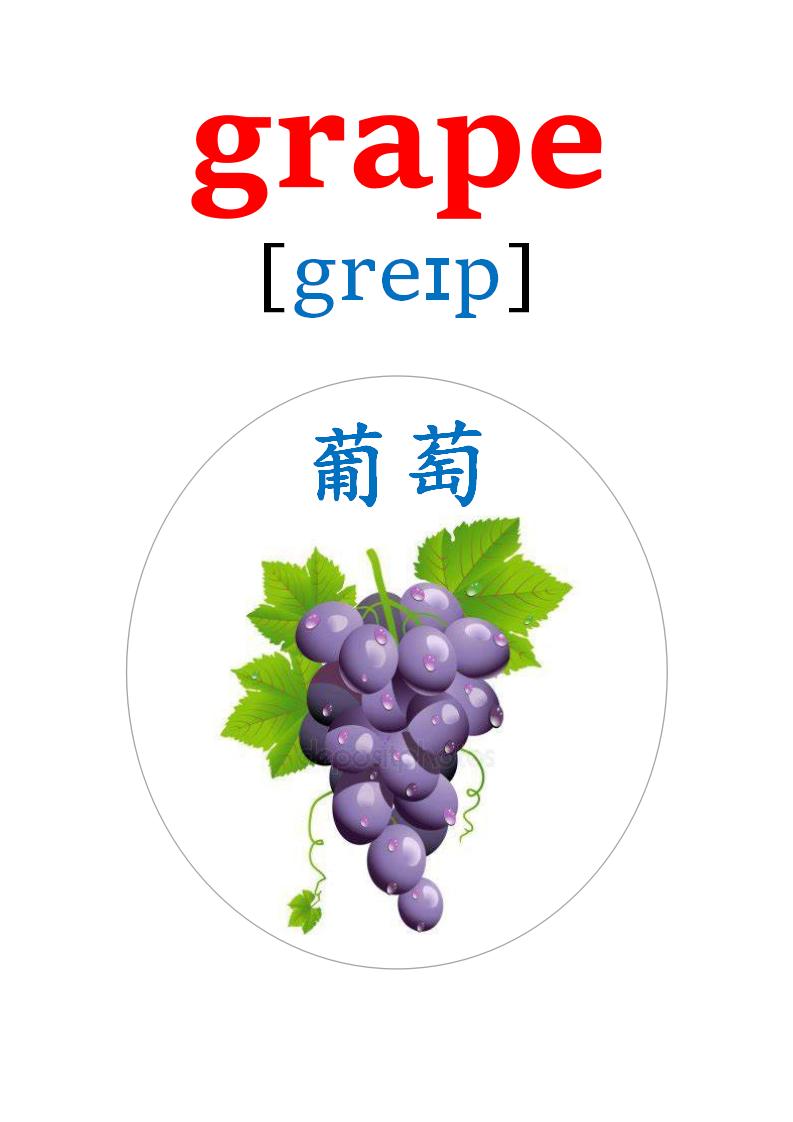 英语卡片20多种水果的英语单词,英语卡片水果种类