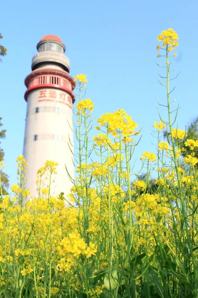 去厦门吹海风,来去厦门观光享受清凉的海风