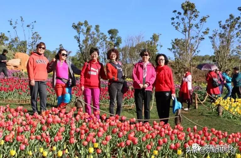 太热闹!弥勒花海、人海、车海、舞海...这些人上镜了!