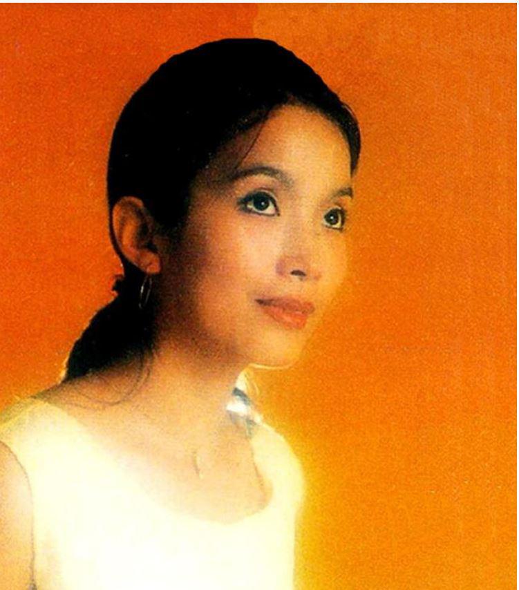 吕丽萍张丰毅离婚,吕丽萍和张丰毅离婚原因