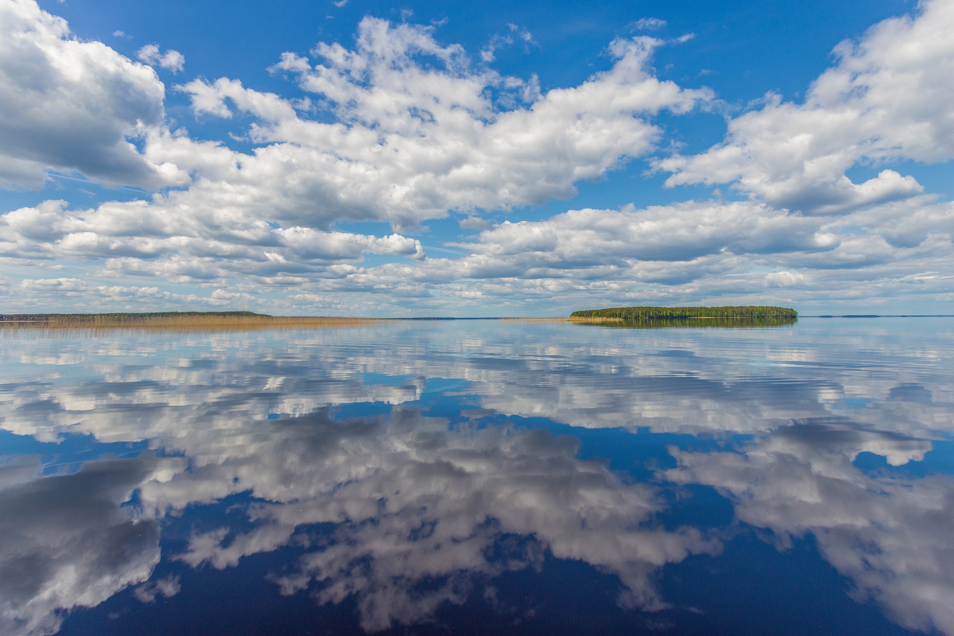 济南版八年级上册生物知识点归纳,八年级上册生物期末必考的知识点