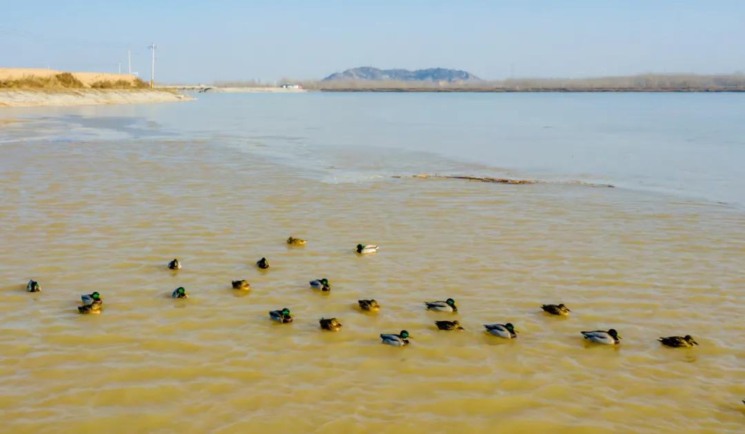 济南湿地公园值得去吗,济南湿地公园旅游攻略