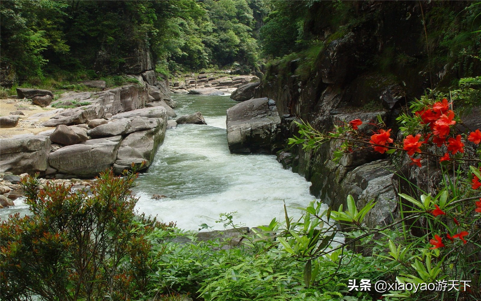 福建石牛山门票多少钱一张,福建漳州火山岛门票多少钱