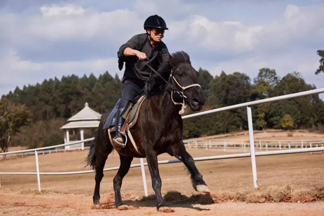 石象湖景区团购,石象湖景区门票特价