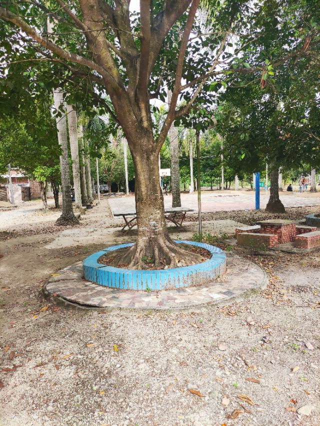 龙门县永汉镇上埔村,永汉镇星墩埔新村存在多少年