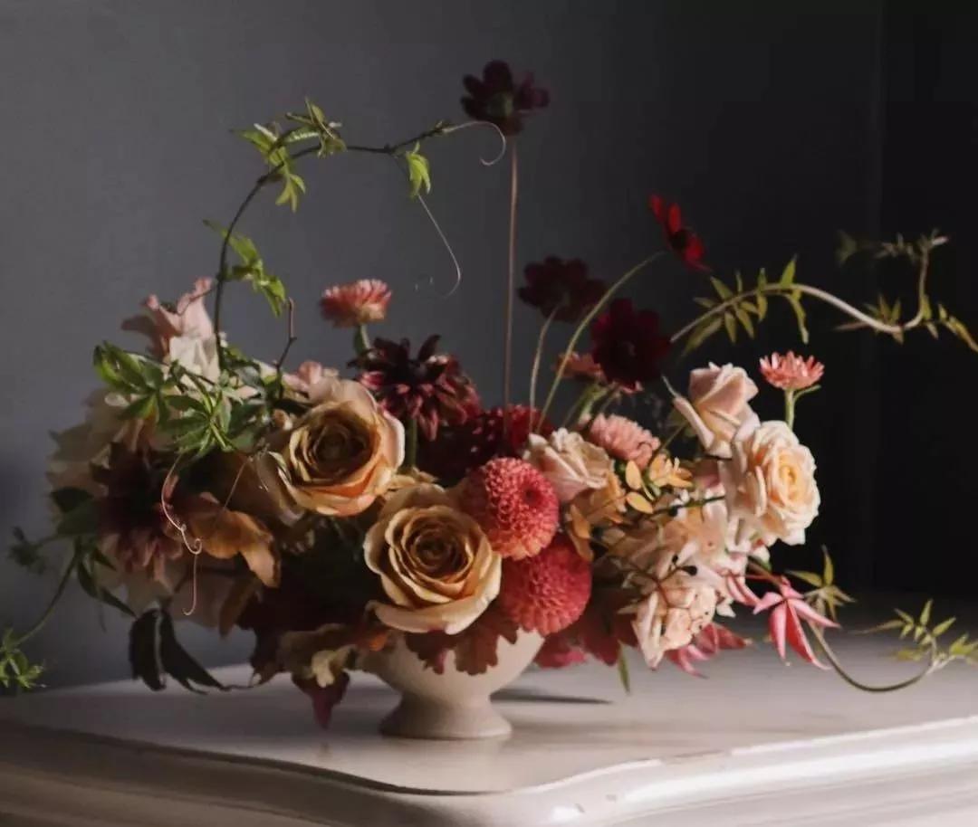 花材不剪枝如何养护,花材不用换水养护方法大全