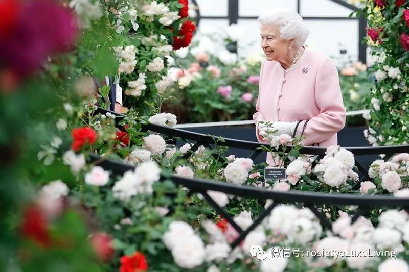 英国央行最新通知,英国央行降息贵金属