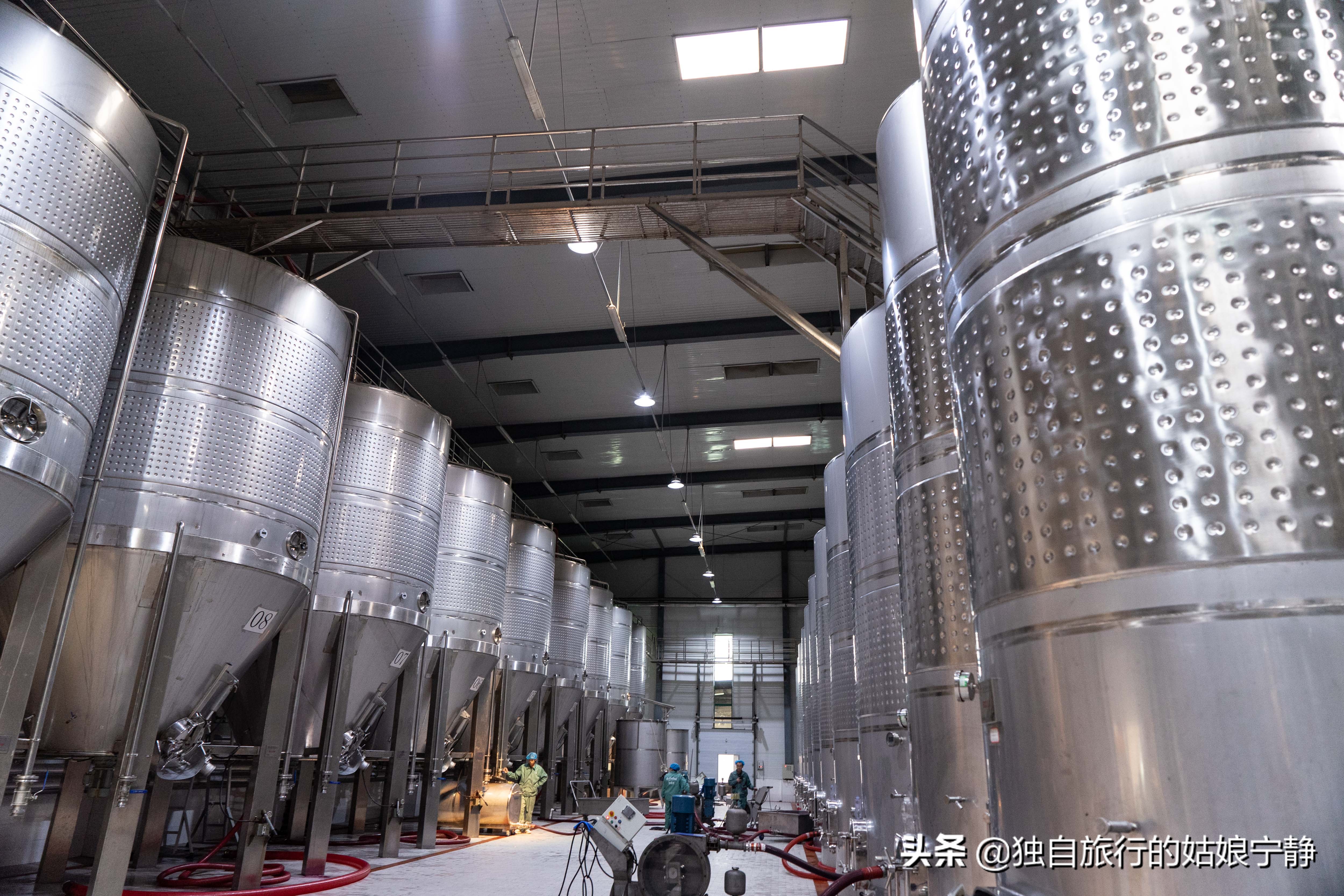 宁夏贺兰山东麓葡萄酒酒庄排名,宁夏十大顶级葡萄酒