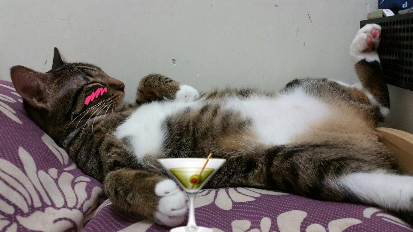 褰卞笣鐚挭婕旀妧鍙ｅ悙鐧芥搏,褰卞笣鐚挭