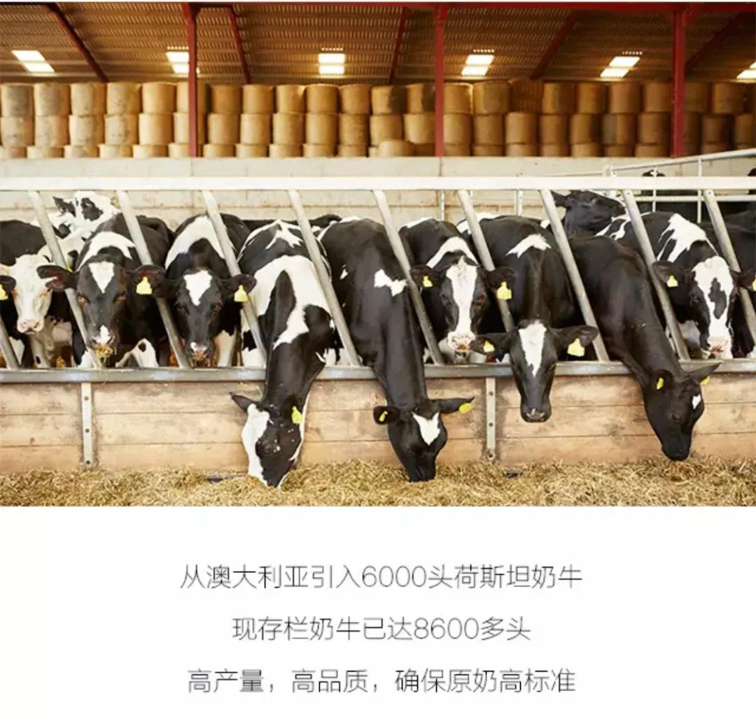 家庭元气满满的简单的早餐,元气满满早餐食谱大全