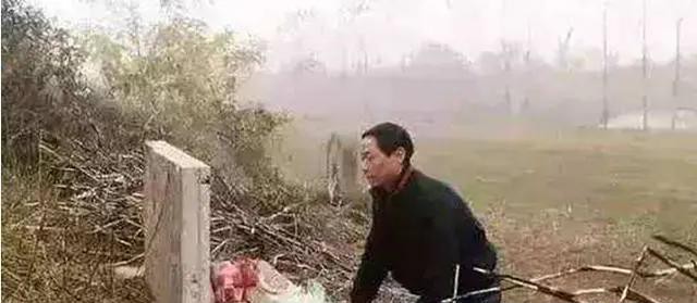 儿子去上坟，发现母亲坟后有大洞，钻进去有惊喜