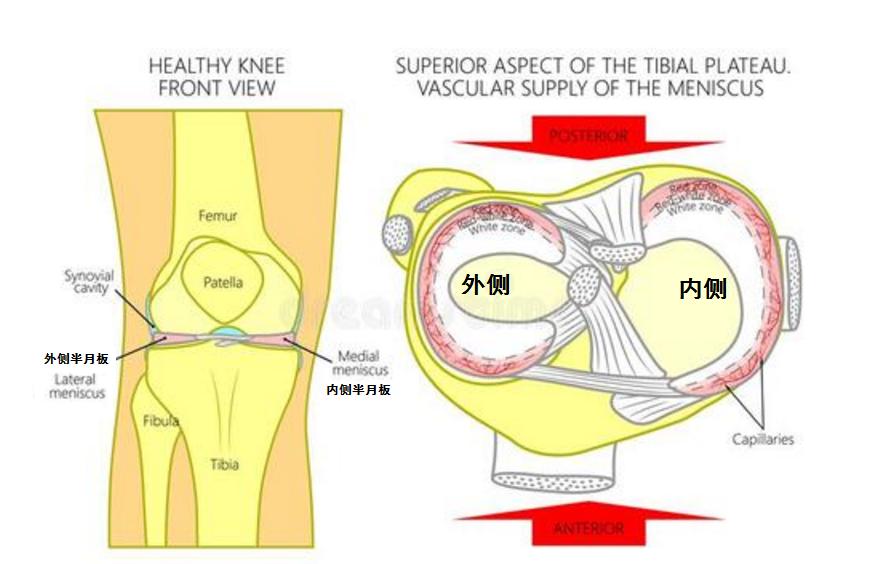 哪些明星半月板撕裂过,膝关节损伤的明星
