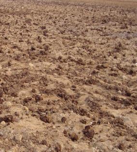 马铃薯免耕栽培技术视频,马铃薯高产栽培技术的参考文献