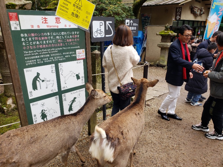 如果你今生只想去一次日本，千万别跟我一样，报这样的旅行团五