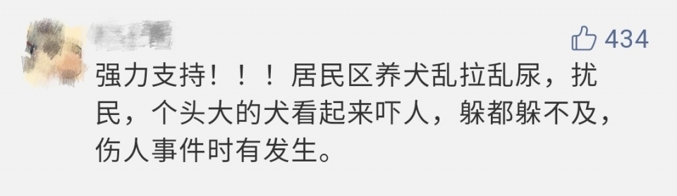 夏季犬管理整治,犬类整治