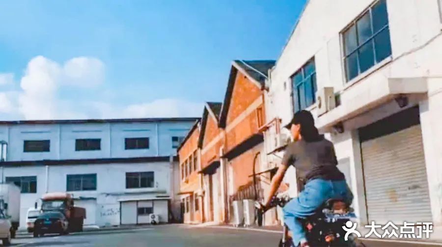 乘风破浪万茜怎么火的,万茜乘风破浪为什么那么多人喜欢