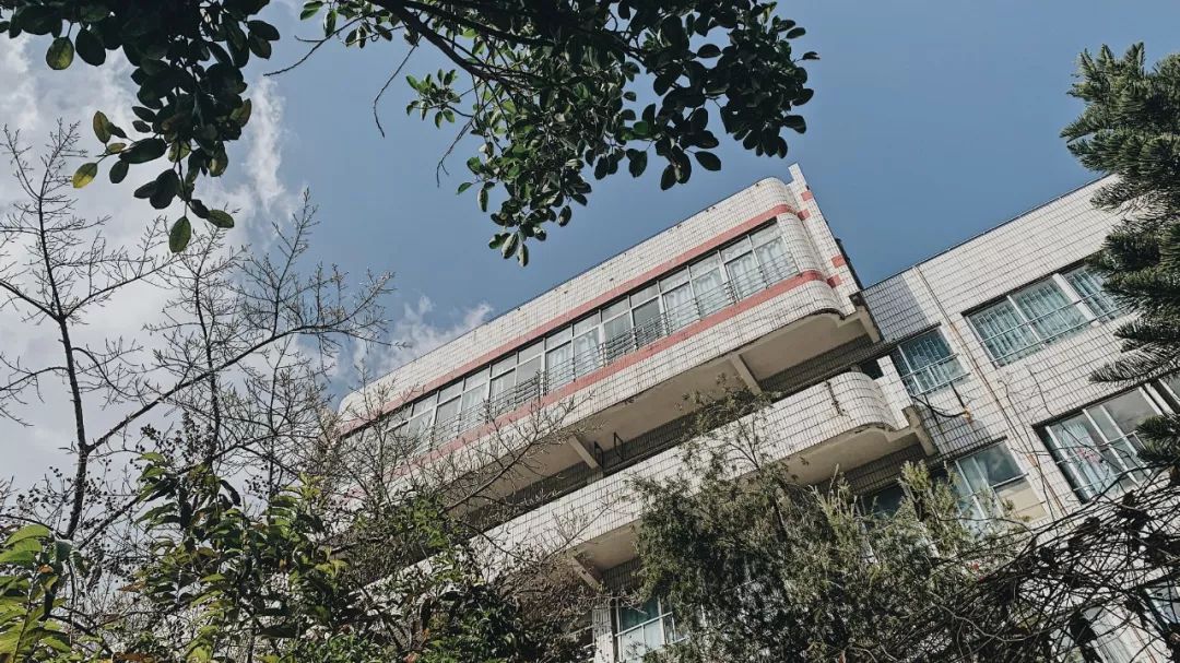 湿炒牛河广东探店,广州湿炒牛河排名第一的店