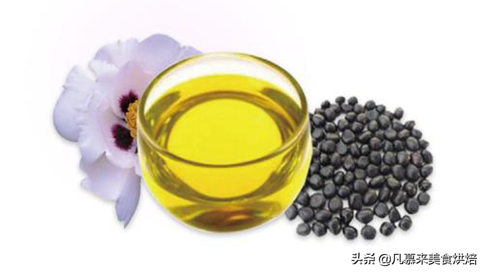 色拉油和调和油的区别是什么,调和油与色拉油的区别是什么