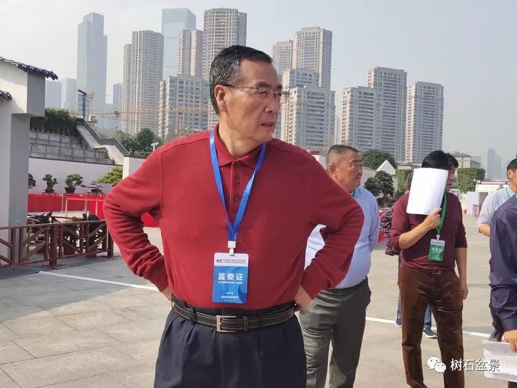 伟大使命复兴中国盆景艺术事业——2019中盆会大事回顾(下篇)