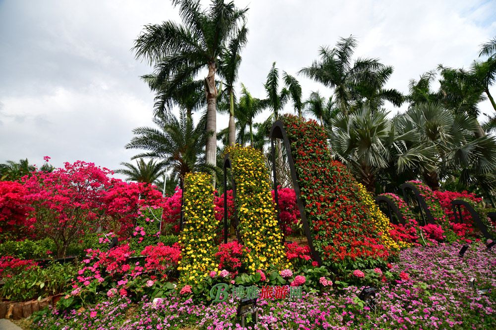 深圳宝安区跑步路线推荐,深圳大学城附近游泳和跑步的地方