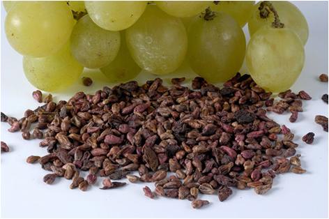 吃葡萄籽有没有危害,葡萄籽能吃吗