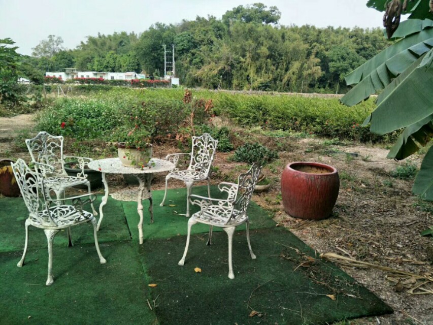 野松〉〉浅谈田园诗人施维的诗