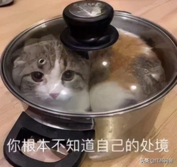 支付宝注销学生账户被骗,注销支付宝学生账户骗局破案