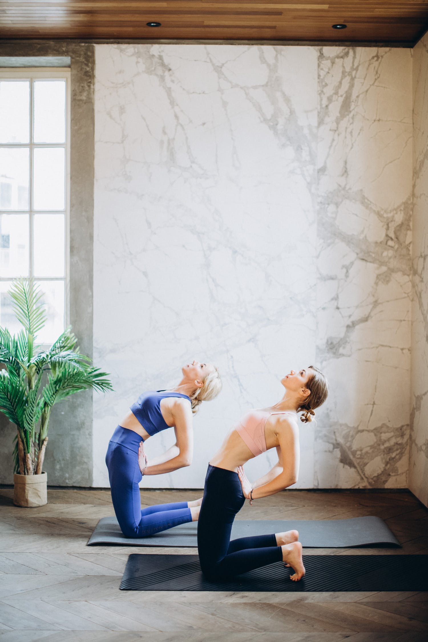 女性健身全书推荐,女性健身全书电子版