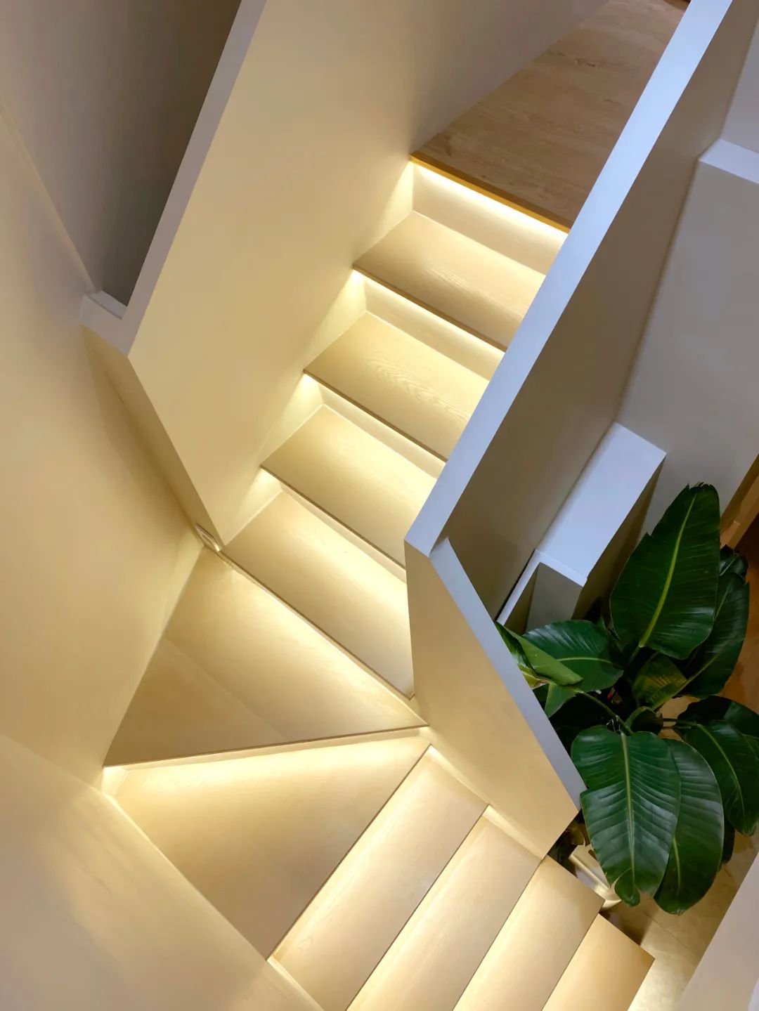 80㎡三口之家，餐厅里种树、可移动儿童房、大浴缸，日子又慢又美